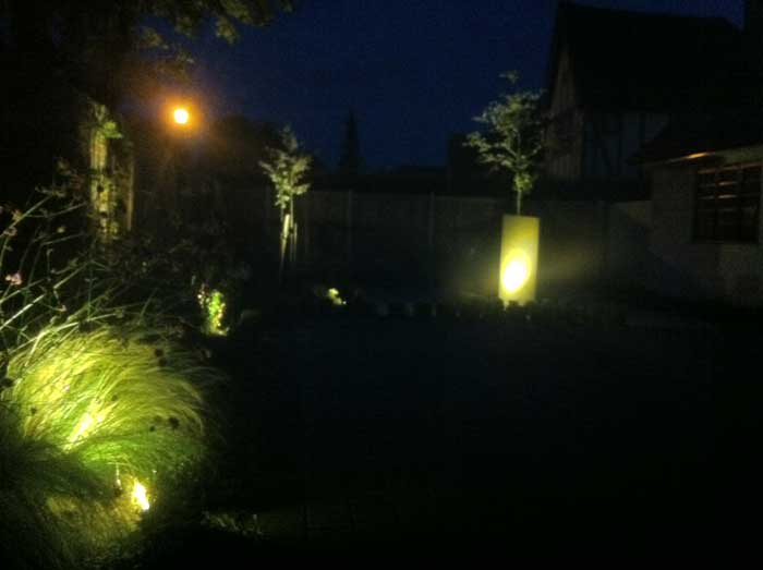 subtle garden lighting to accentuate plants and trees