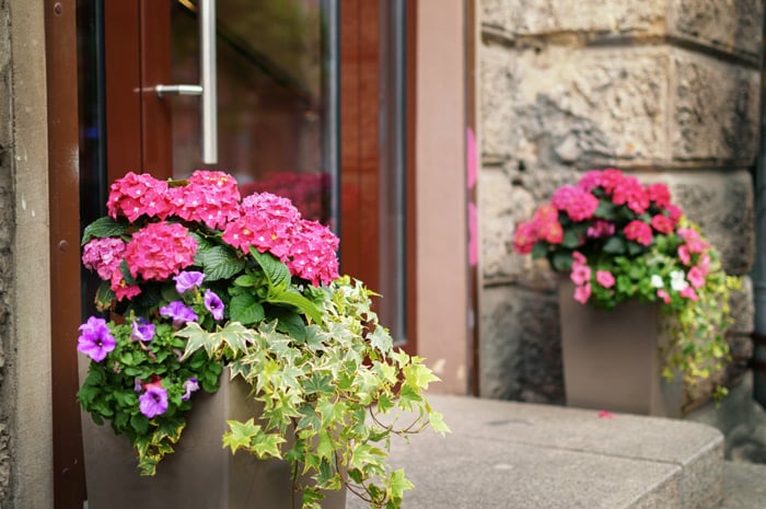 landscaping ideas for front doorstep