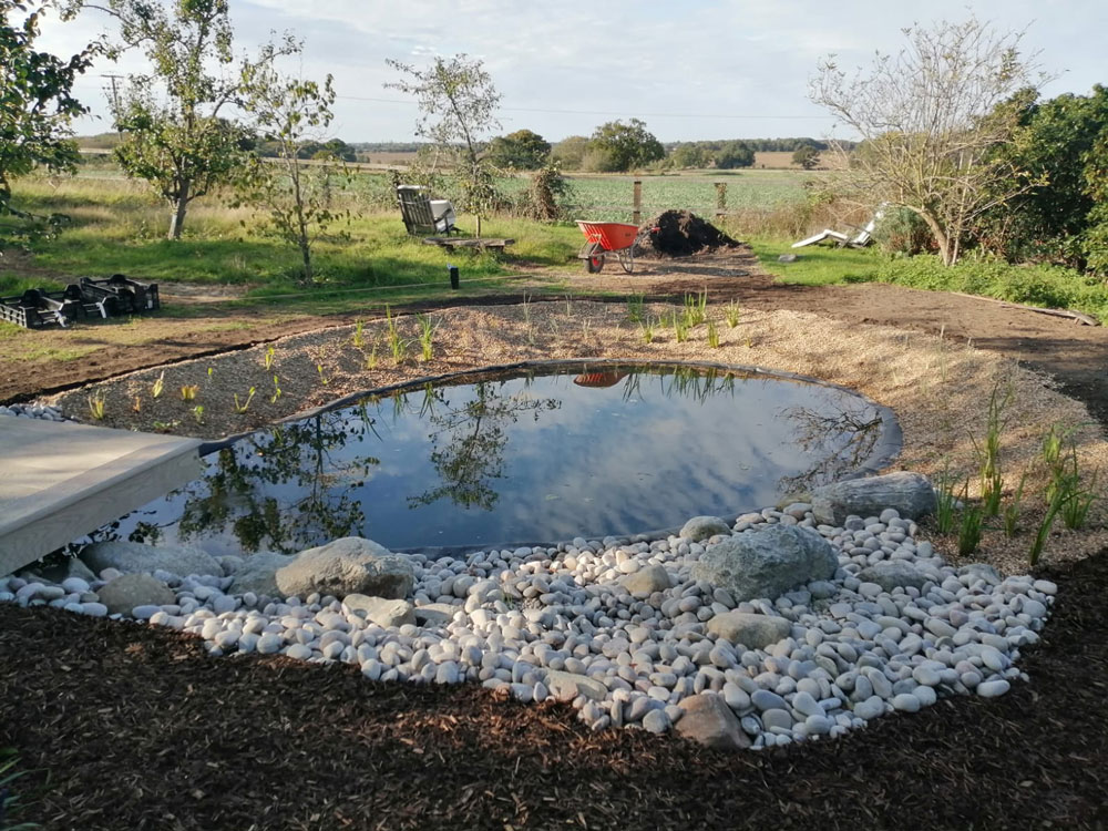 newly created wildlife pond with borrowed views over Essex farmland
