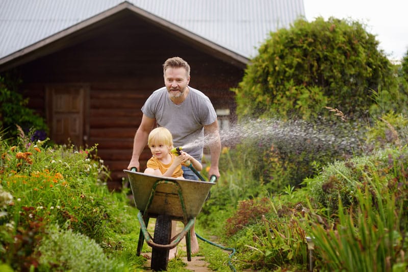 man pushing a small child in a wheelbarrow through a pretty garden, the child is holding a hosepipe to make watering fun.