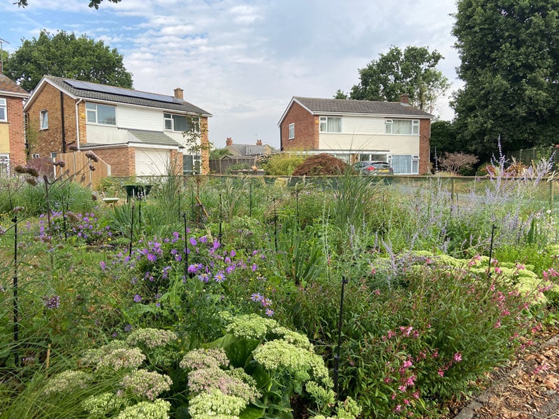 Richly planted front garden with wide variety of species