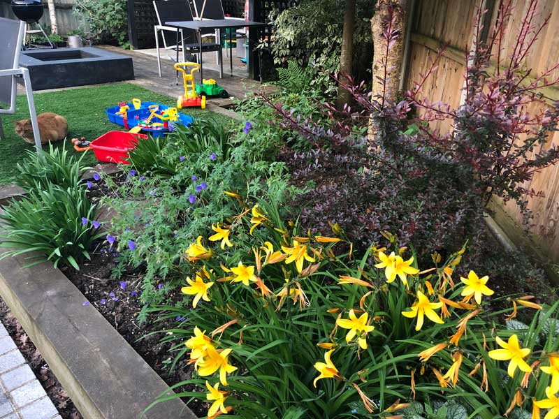 A family friendly garden with brightly coloured flowers, childrens toys and a ginger tom. Evidence of the happiness that 25K can buy in landscaping