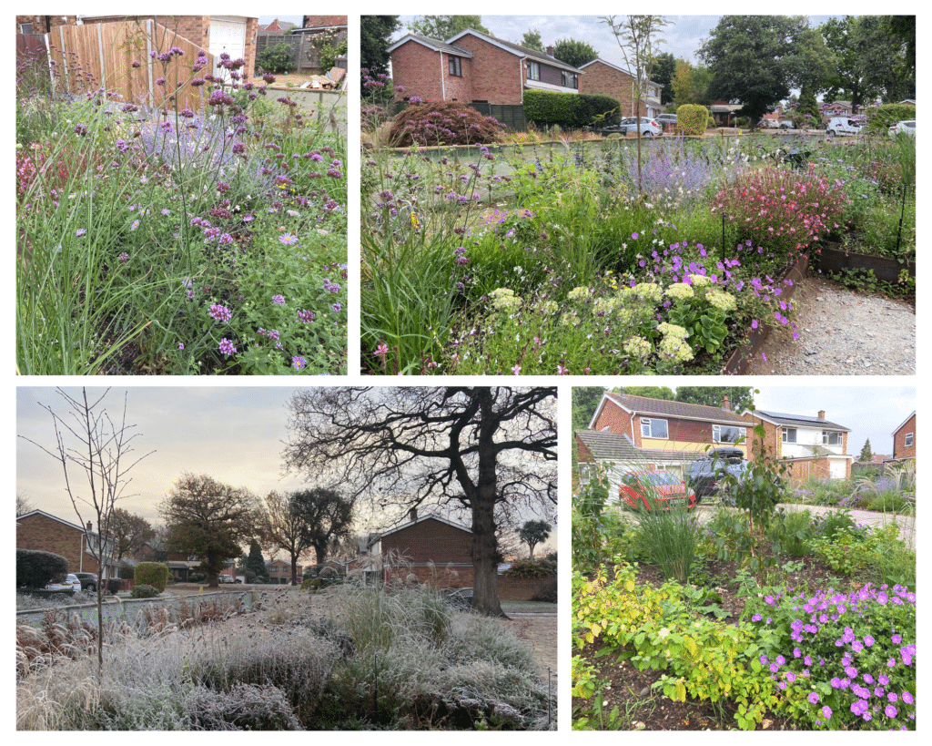 collage of floral front garden in summer and winter