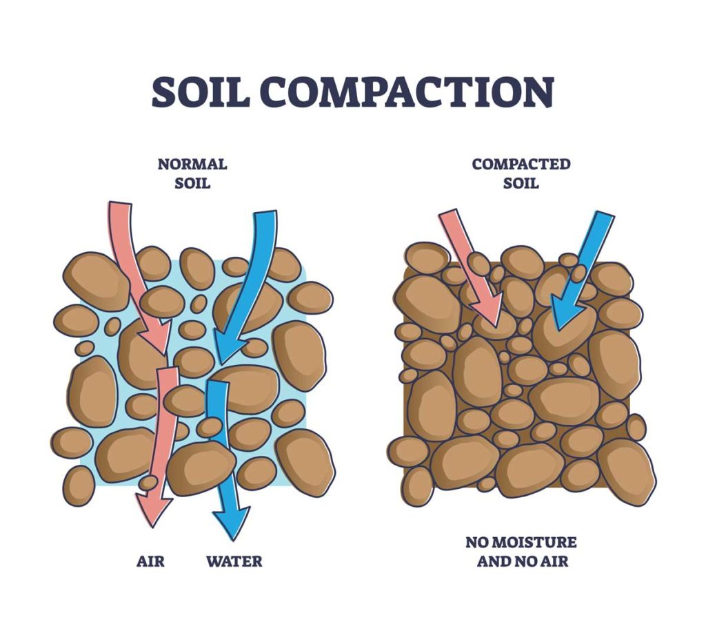 soil compaction diagram showing water flow through healthy soil compared to compacted soil