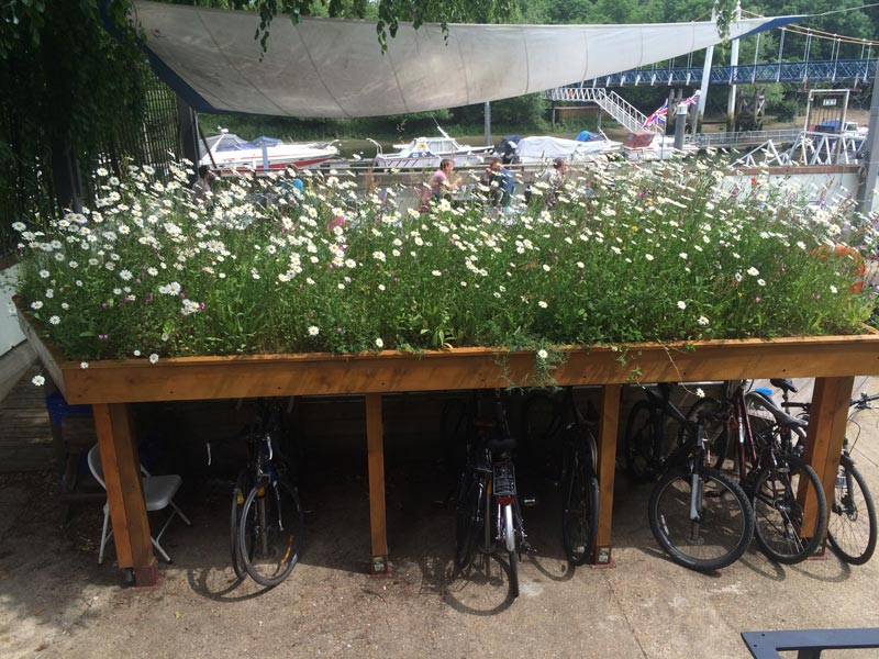 green roof bike shed pic from Harrowden Turf