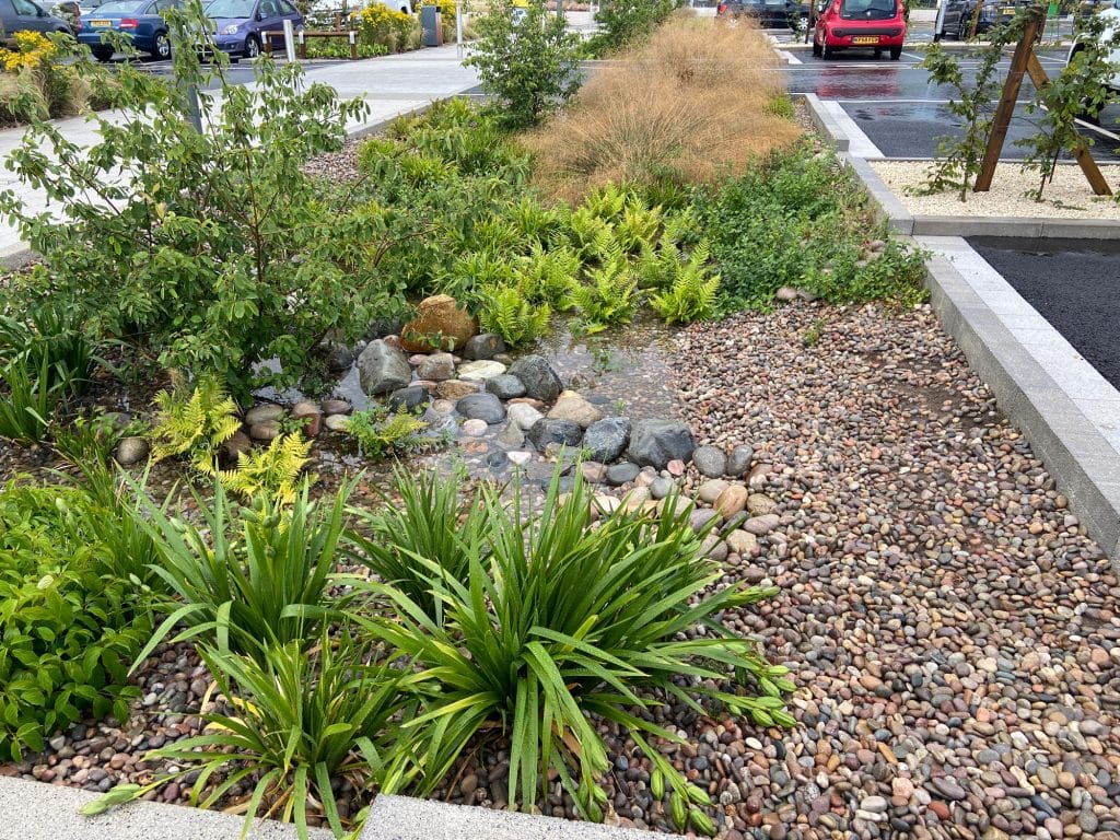rain garden with gravel beds and tolerant planting. sited in a car park at M6 service station