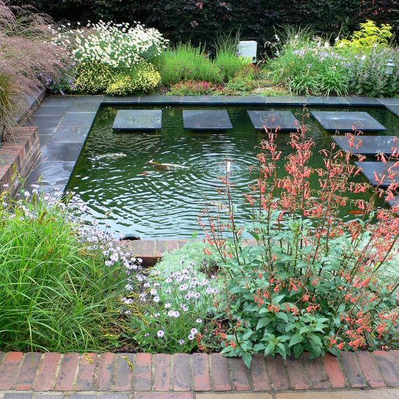 glorious pond with stepping stones across it