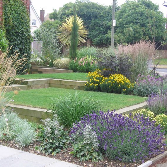 perfect lawn surrounded by herbaceous borders in the front garden of a modern property