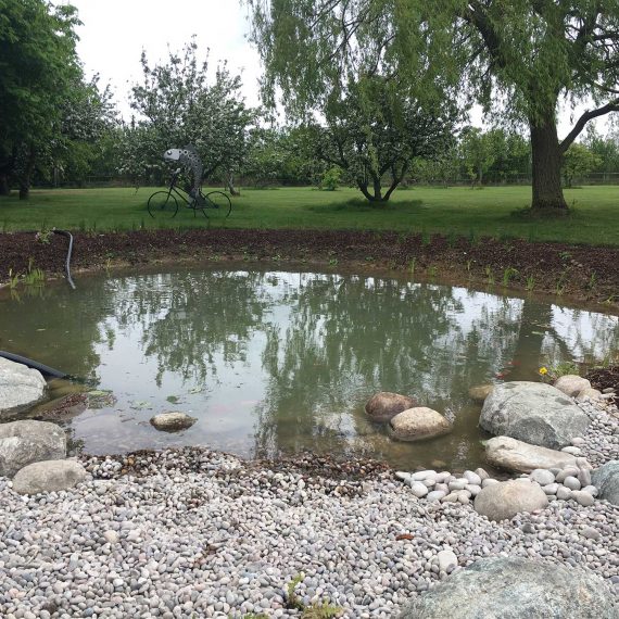 wildlife pond with extensive lawns beyond