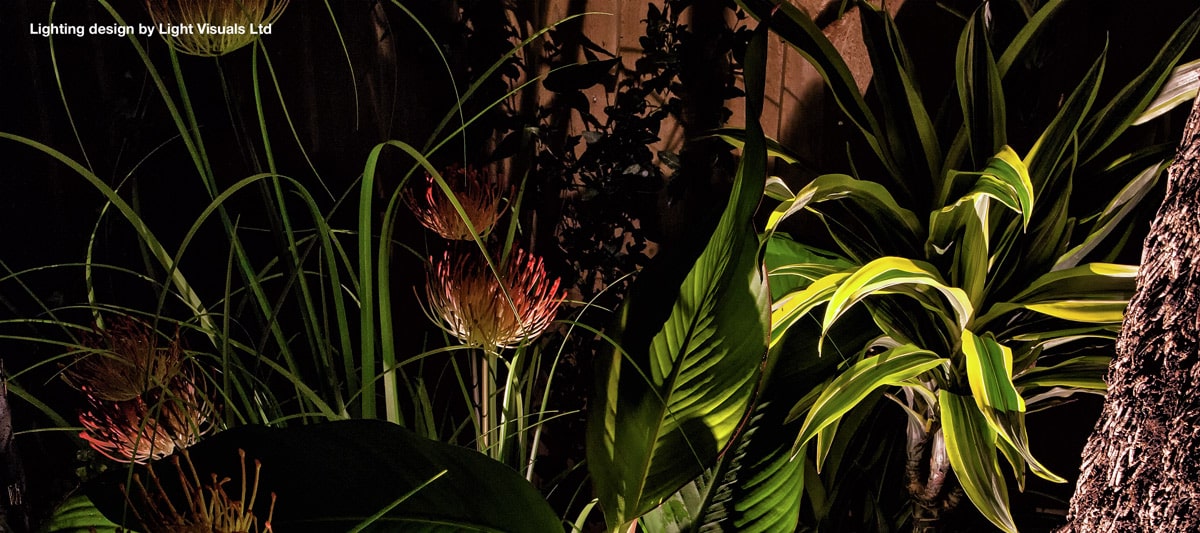 lighting for plants