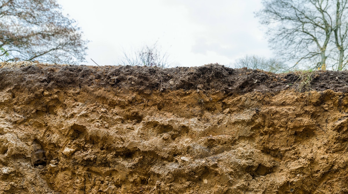 Understanding Soil Types Hollandscapes