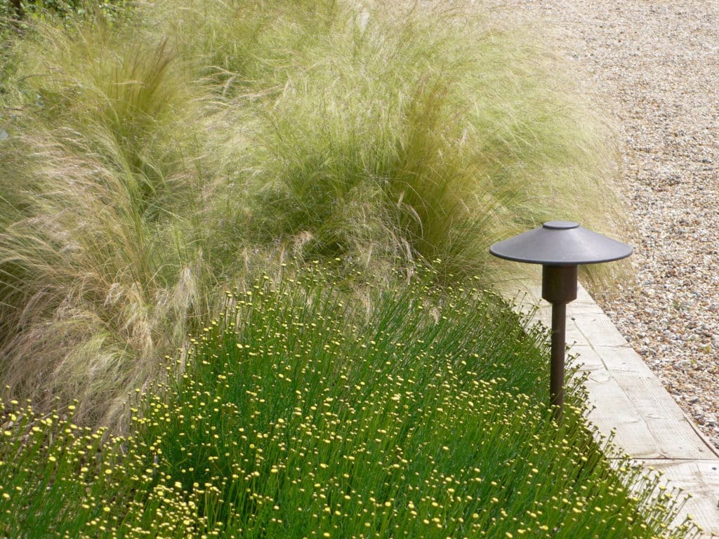 landscaping light fitting sitting neatly amongst plants beside a driveway