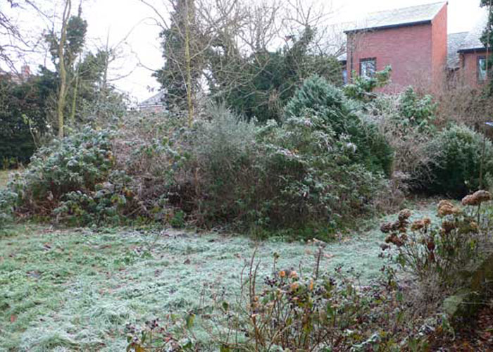 garden clearance services from Holland Landscapes - before pic