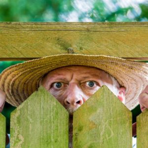 garden privacy man peeping through fence