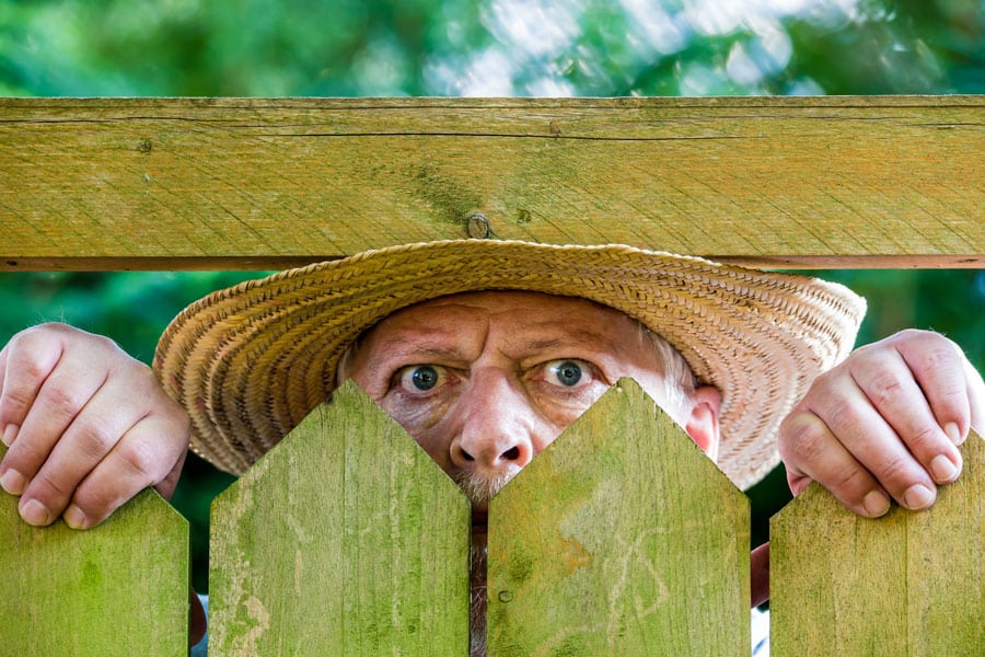 garden privacy man peeping through fence