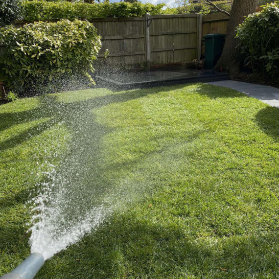 Watering newly laid lawn with a hosepipe