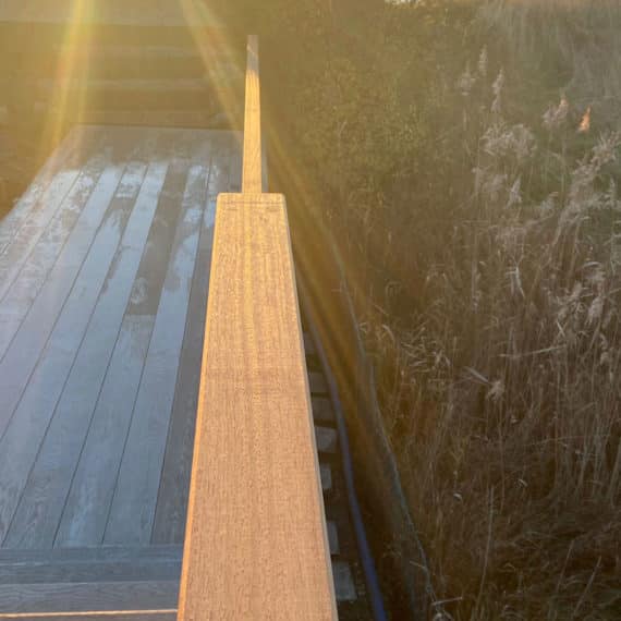 grain detail on natural timber hand rail