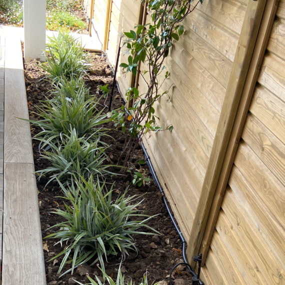 care plants in long narrow border between decking and fence