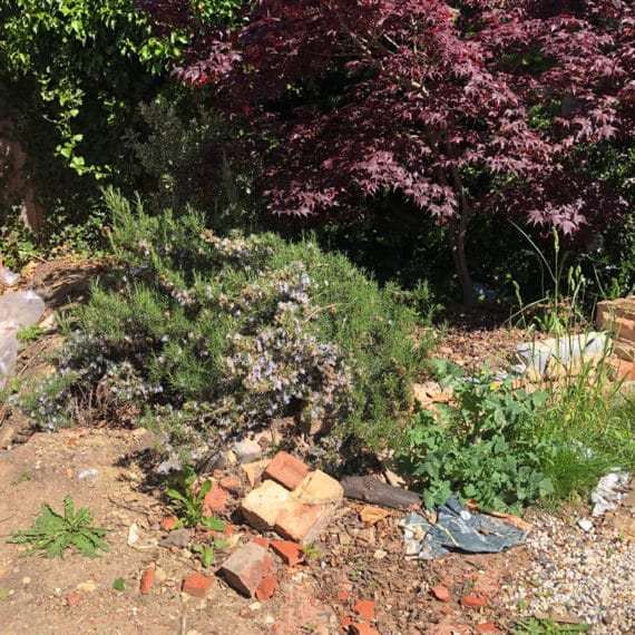 delapidated corner of garden in chelmsford with builders rubble and overgrown shrubs