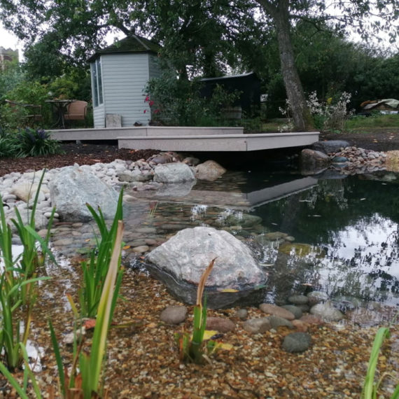 wildlife pond with an overhanging deck and summerhouse at one end