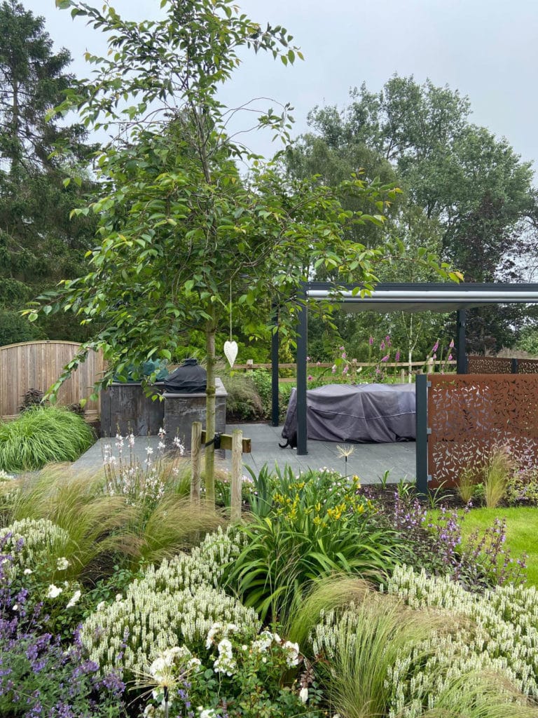 view across herbaceous border towards outdoor kitchen with modern pergola