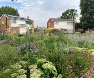 Richly planted front garden with wide variety of species
