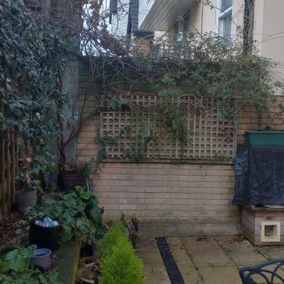 small garden with untidy paving and tired plants