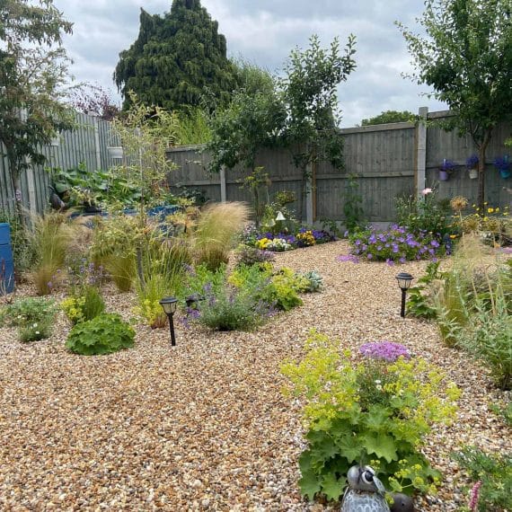 medium sized low maintenance garden with gravel surface and mixed planting
