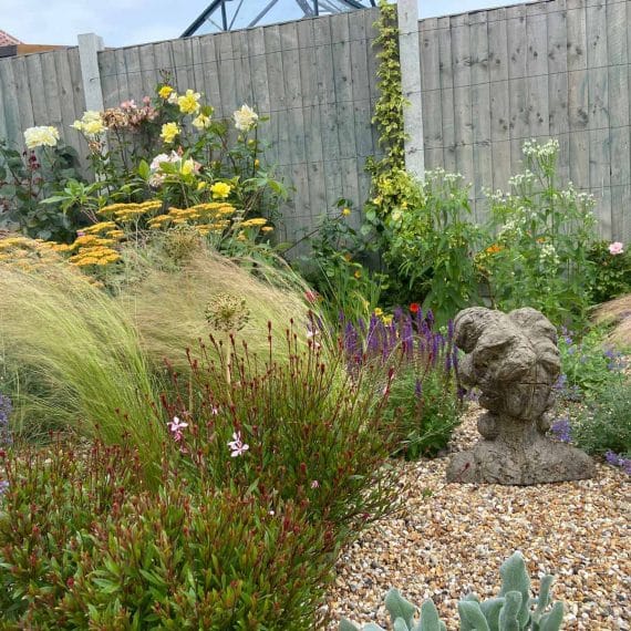 ornamental grasses and achillea amongst other plants in a gravel garden