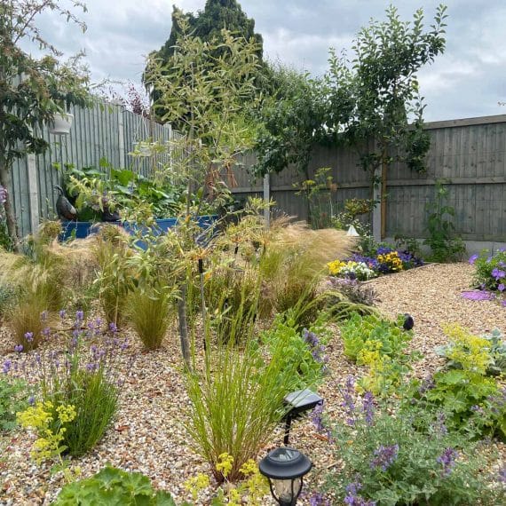 colourful textured planting in a gravel garden inspired by Beth Chatto